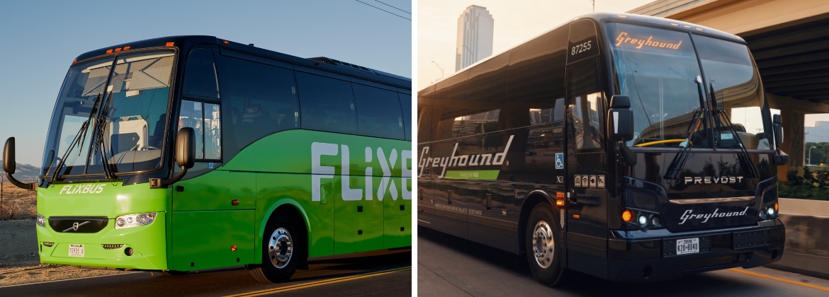 Flix and Greyhound bus side by side