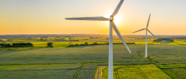 ESG & Sustainability