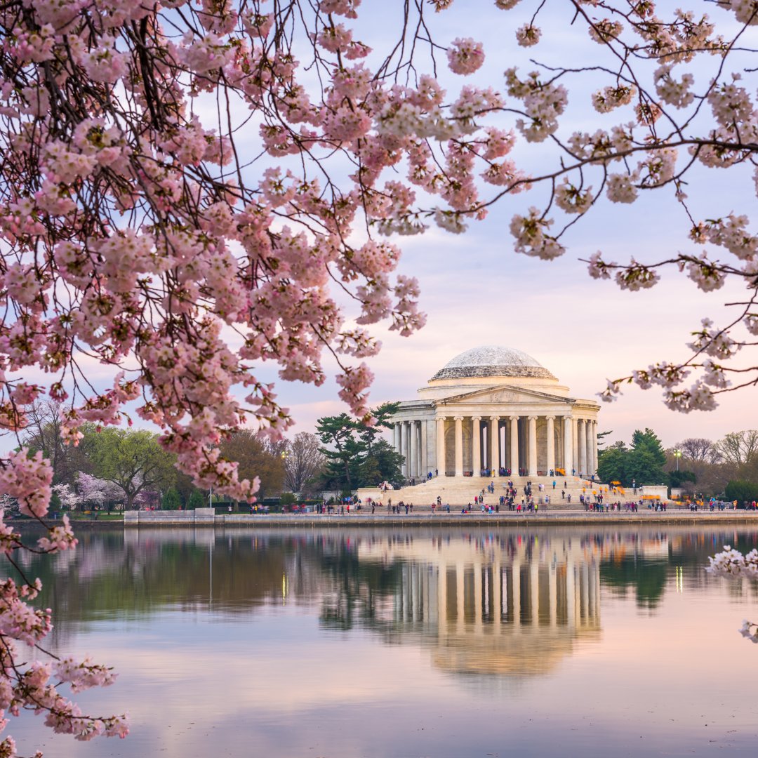New York - Washington, D.C